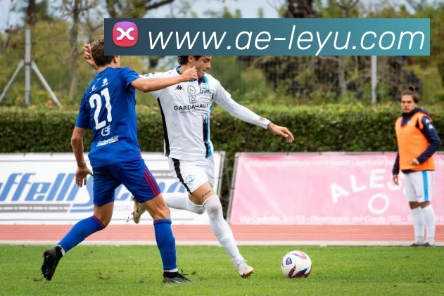 App Interface Preview