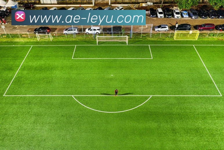 乐鱼体育APP 封面图